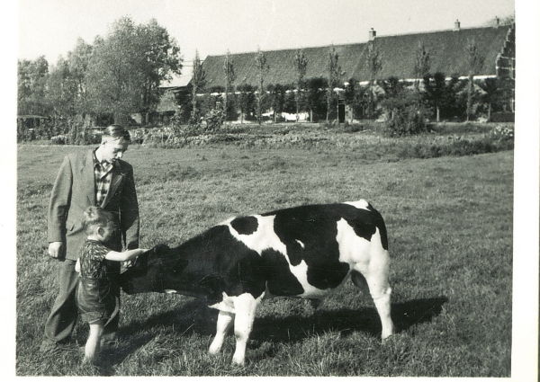 Boerderij Vlietzigt jaren 50 boer met koe.jpeg